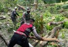 Polresta Cirebon Laksanakan Penanggulangan Pasca Bencana Alam Angin Puting Beliung