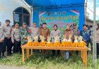 Kapolresta Cirebon Panen Jagung Dukung Ketahanan Pangan