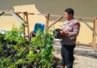 Polsek Talun Hadirkan Kebun Ketahanan Pangan