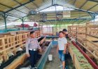 Dukung Ketahanan Pangan, Kanit Provost Polsek Pabedilan Sambangi Peternak Kambing di Desa Dukuwidara