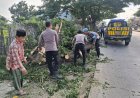 Respon Cepat  Anggota Polsek Gebang Polresta Cirebon bantu warga evakuasi pohon tumbang yang menggangu jalan raya Pantura di Desa Gebang ilir Kecamatan Gebang
