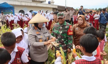 Panen Jagung Polresta Cirebon, Bukti Nyata Dukungan Terhadap Swasembada Pangan Nasional