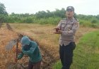 Dukung Ketahanan Pangan, Polsek Pabedilan Polresta Cirebon Dampingi Petani Jagung Pipil