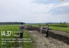 Dukung Ketahanan Pangan Nasional, Polsek Waled Pantau Persiapan Lahan Jagung di Desa Cikulak Kidul