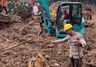 K9 Ditsamapta Polda Jabar Diterjunkan Cari Korban Longsor di Desa Pasirlangu