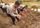 Dukung Program Ketahanan Pangan Nasional, Polsek Sumber Ikuti Penanaman Jagung Serentak 750 Hektare Polda Jabar