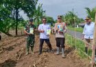 Dukung Program Ketahanan Pangan, Polsek Gegesik Bersama Muspika Tanam Jagung di Desa Sibubut