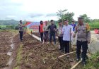 Dukung Ketahanan Pangan Nasional, Polsek Sedong Ikuti Penanaman Jagung Serentak 750 Hektare se-Polda Jabar