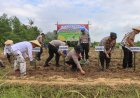 Kapolresta Cirebon Pimpin Penanaman Jagung Serentak, Polresta Cirebon Tegaskan Komitmen Dukung Swasembada Pangan Nasional