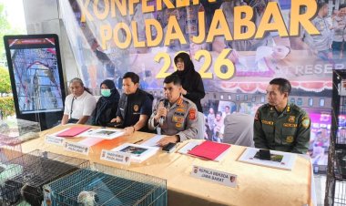 14 Elang Dilindungi Diselamatkan Polda Jabar dari Perdagangan Ilegal