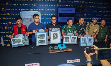 Penanganan Kasus Perburuan Macan Tutul Jawa di Gunung Sanggabuana Karawang