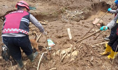 Unit Anjing Pelacak K9 Polda Jabar Terus Lakukan Penyisiran Lokasi Longsor KBB